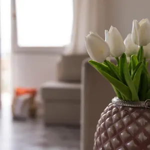Il Sole In Casa , Lavagna Italia
